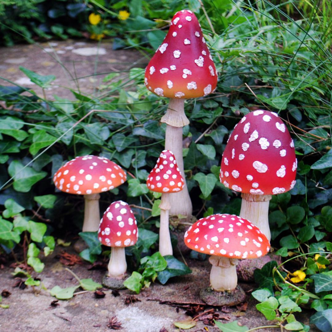 Toadstool_bs228