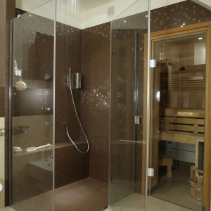 Bezbrodzikowa kabina prysznicowa, z wyprofilowanym wygodnym siedziskiem, sąsiaduje bezpośrednio z przesłoniętą szklanymi drzwiami sauną. Fot. Monika Filipiuk.
