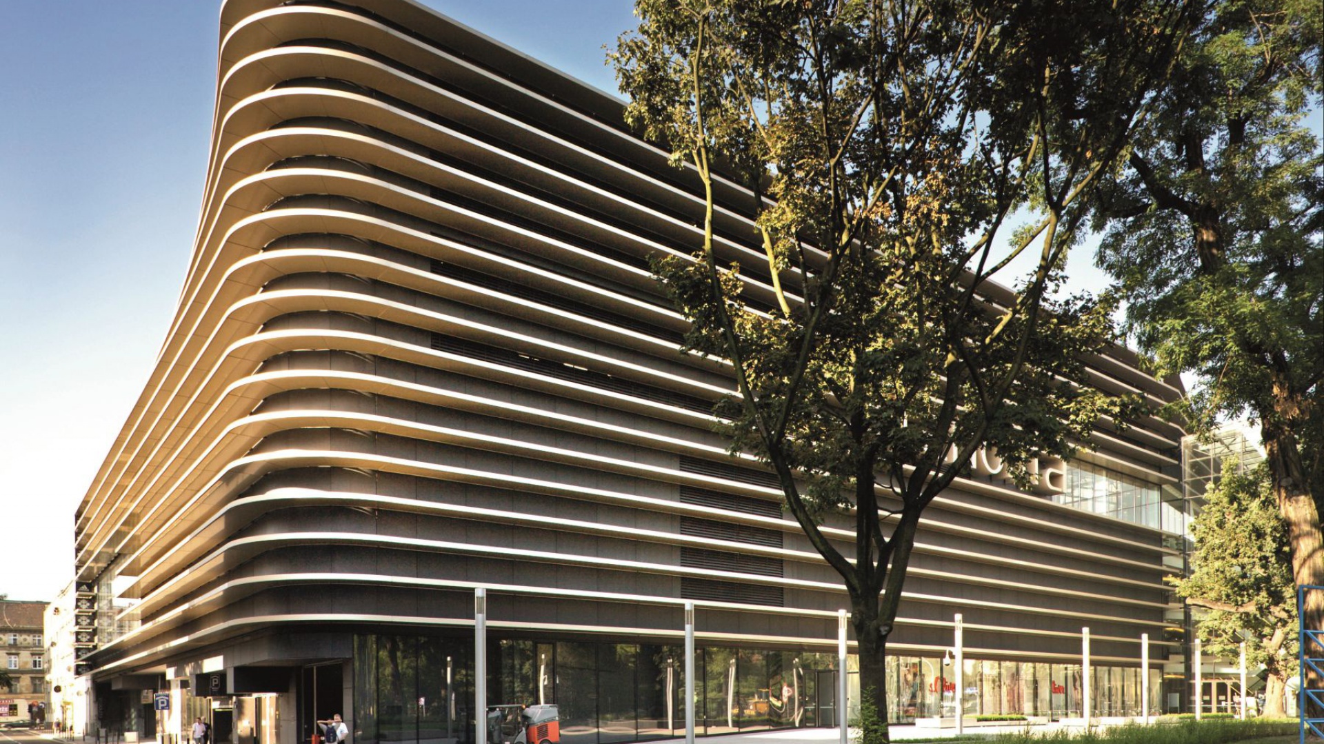 renoma11d.jpg