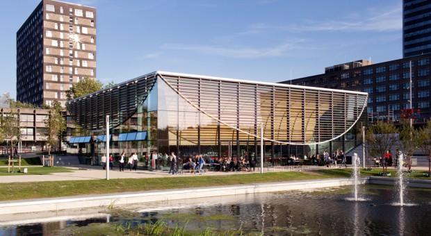 Czerwony dąb ociepla surową architekturę Uniwersytetu Erazma w Rotterdamie 