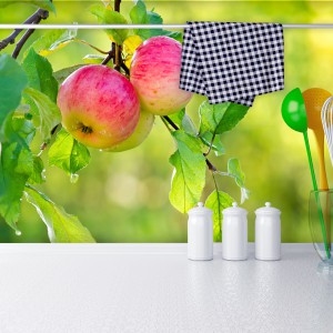 Żywa fototapeta z motywem rumieniących się jabłek na tle zielonego sadu. Piękne, intensywne kolory kontrastują efektownie z białym blatem kuchennym. Kolorowym akcentem są także akcesoria. Fot Livingstyle.