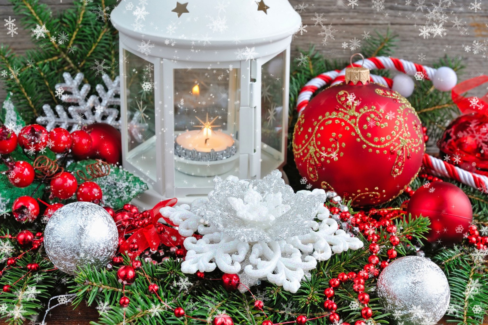 Duet czerwieni i bieli nawiązuje do tradycyjnej kolorystyki bożonarodzeniowej. Fot. Shutterstock.