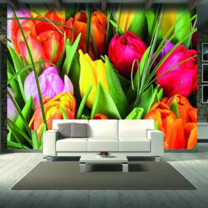 Fototapeta z różnobarwnymi tulipanami w skali makro z oferty marki Grafdeco.