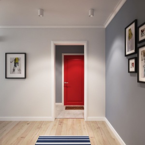 Nowoczesnym pomysłem na ożywienie chłodnego pomieszczenia jest na przykład wstawienie kolorowych drzwi. Nadaje to właśnie w tym wnętrzu skandynawski charakter, na którym zależało właścicielom. Projekt i wizualizacje: Alexei Ivanov i Pavel Gerasimov / Studio projektowe Geometrium.