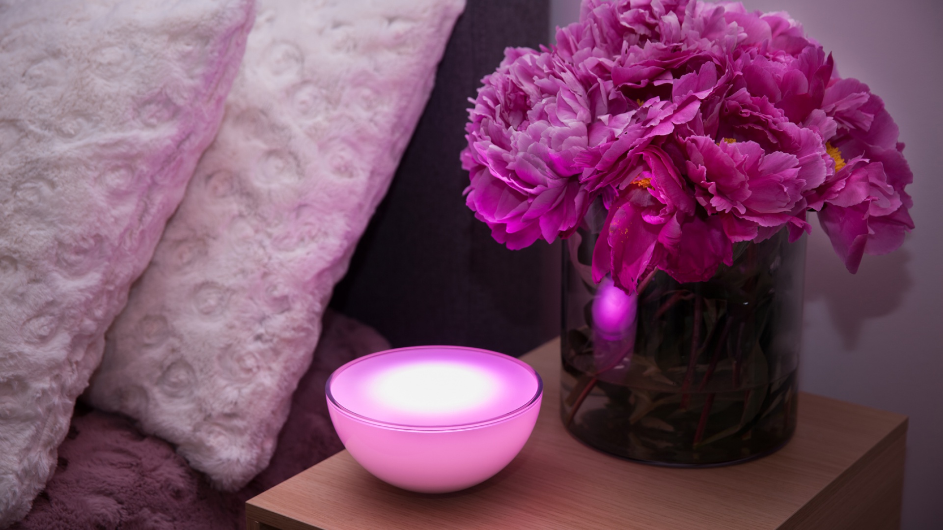 System Hue Fot. Philips