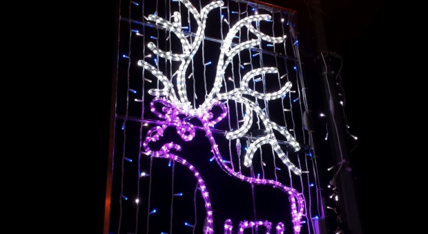 Park Miejski w Piastowie rozświetliła wyjątkowa świąteczna iluminacja