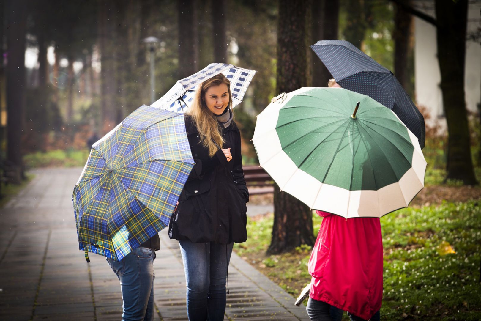 Parasol mini, wymiary: wysokość 55 cm, średnica 98 cm, po złożeniu: wysokość 24 cm, średnica 5 cm. Bardzo lekki: 220 g i poręczny – zmieści się do każdej damskiej torebki czy niewielkiego bagażu. Wzór: krata w kolorach: beż z czarnym, czerwono-żółty z czarnym , niebiesko-żółty z niebieskim Cena brutto 11,81 zł. Fot. Galicja dla Twojego Domu