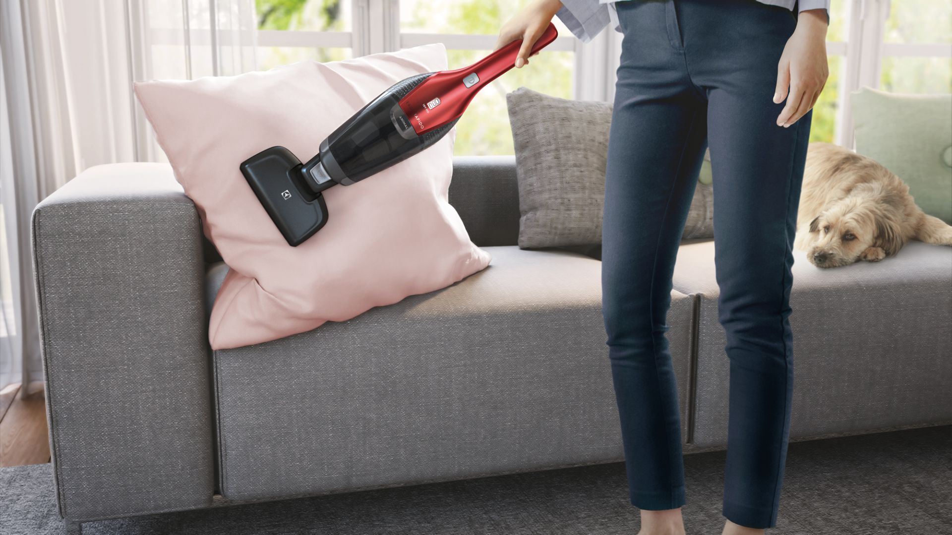 Najnowsza wersja odkurzaczy bezprzewodowych Ergorapido. Fot. Electrolux