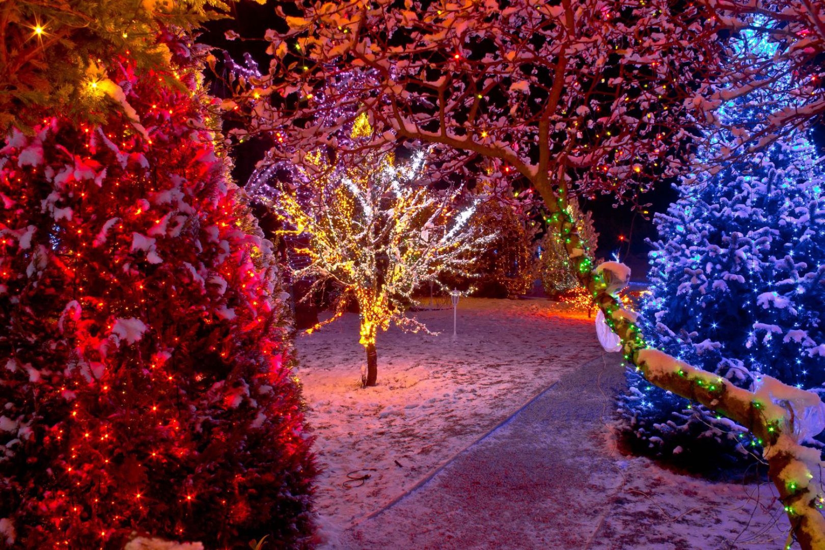 Świąteczne  oświetlenie w ogrodzie. Fot. Activejet