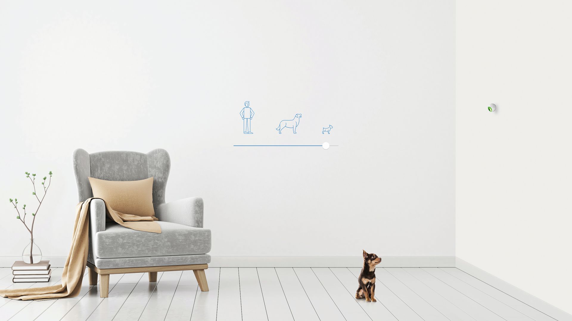 Fot. Fibaro