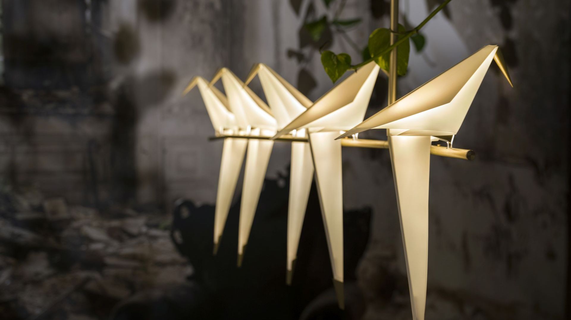 Perch Light - projekt dla marki Moooi.