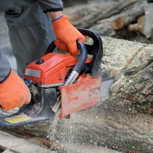 Przycinanie gałęzi i przygotowanie drewna na opał to zadania, które znacząco ułatwi pilarka łańcuchowa. Fot. materiały prasowe Krysiak