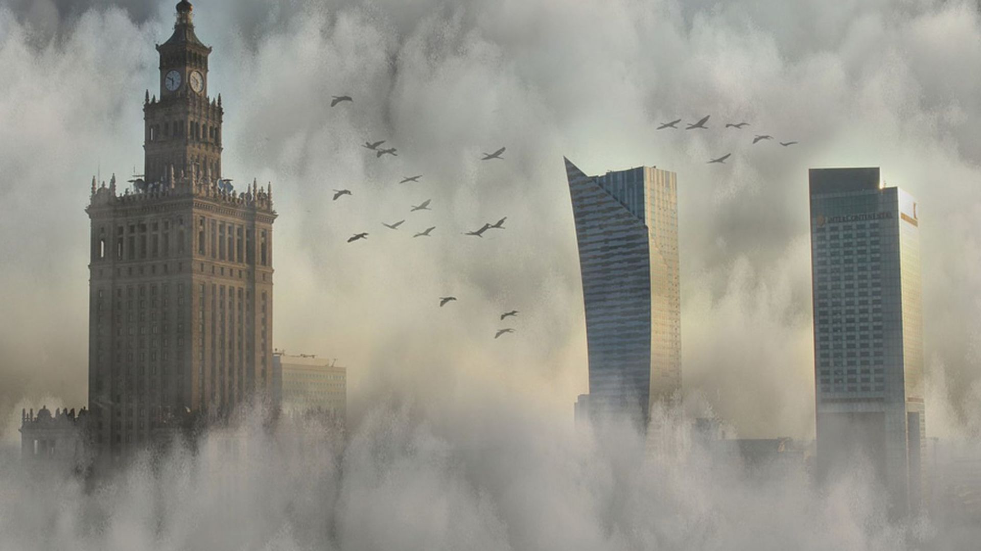 Walczymy ze smogiem. Fot. Pixabay