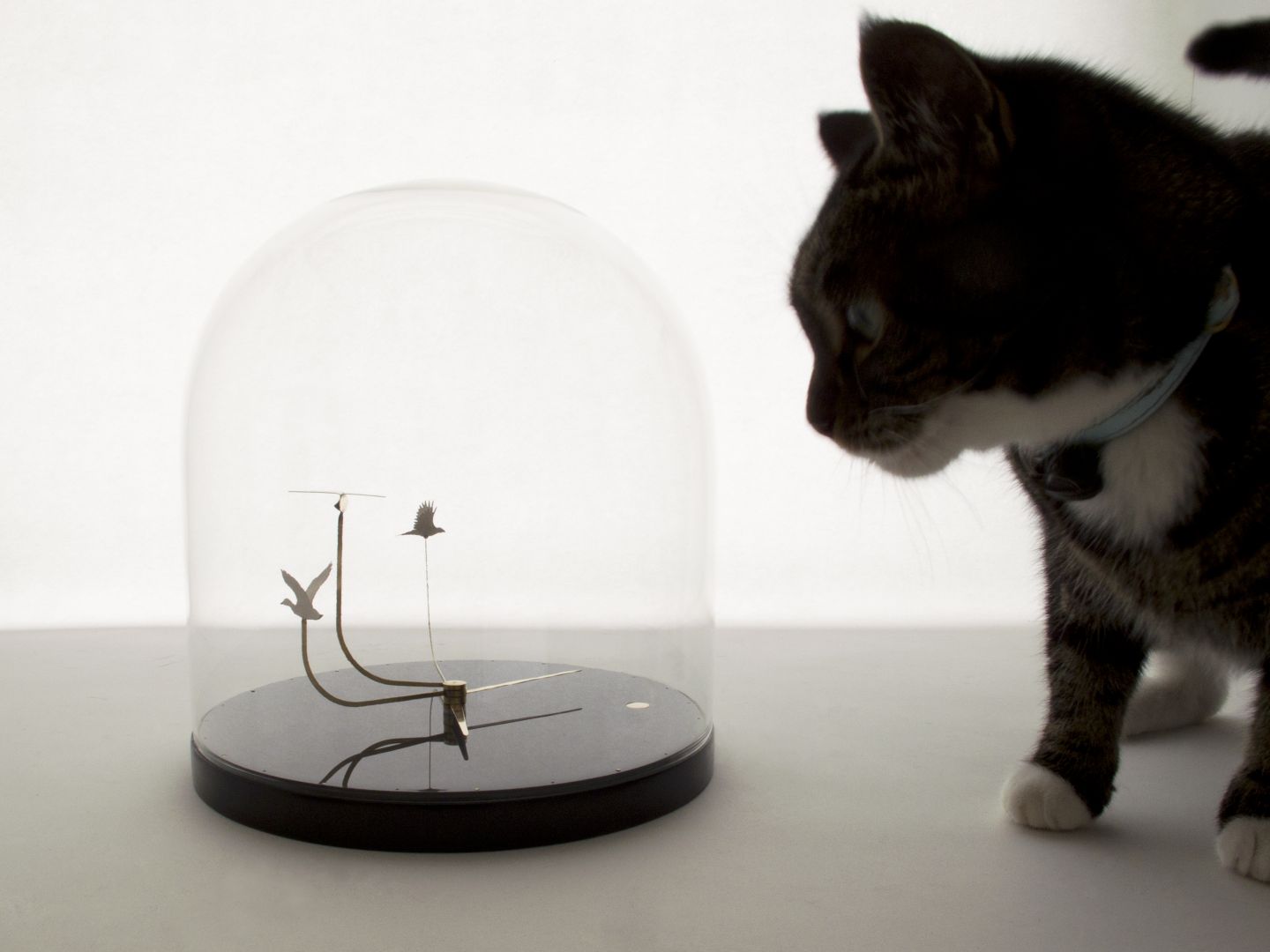 W projekcie Time Flies Umut Yamac w szklanym zegarze kopułkowym stworzył miniaturowy świat fruwających ptaków, jaskółki, krzyżówki i wróbla, krążących w różnym tempie. Fot. mat. prasowe