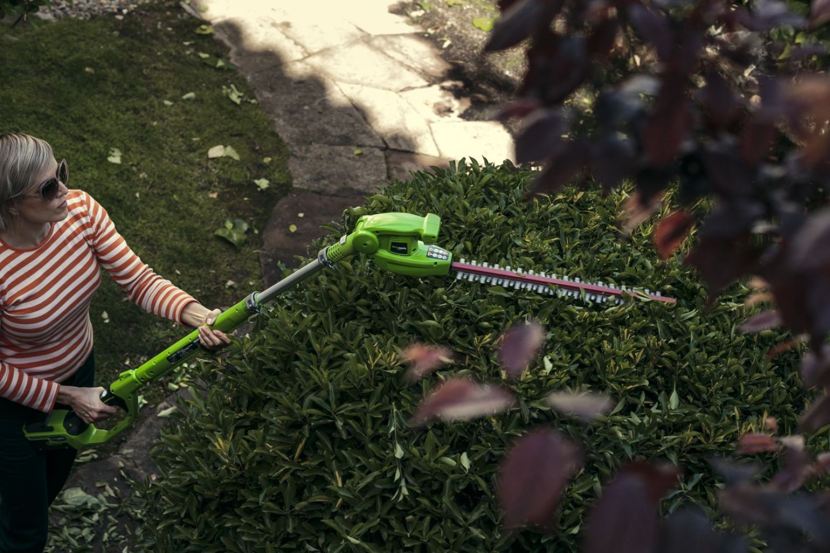 Piękny i zdrowy żywopłot. Fot. Greenworks