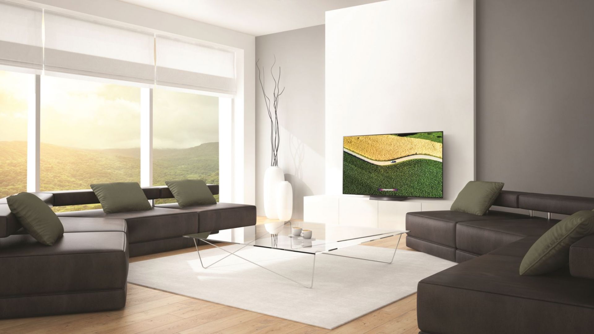 Nowoczesne telewizory: poznaj możliwości technologii OLED 