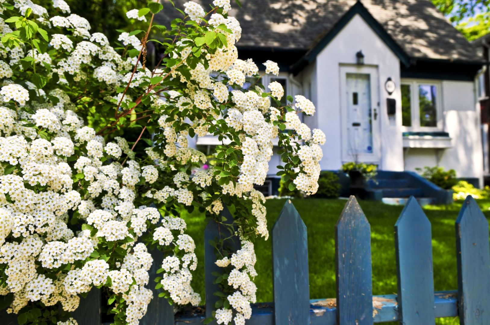 Polskie ogrody - zobacz jak je urządzono. Fot. Shutterstock
