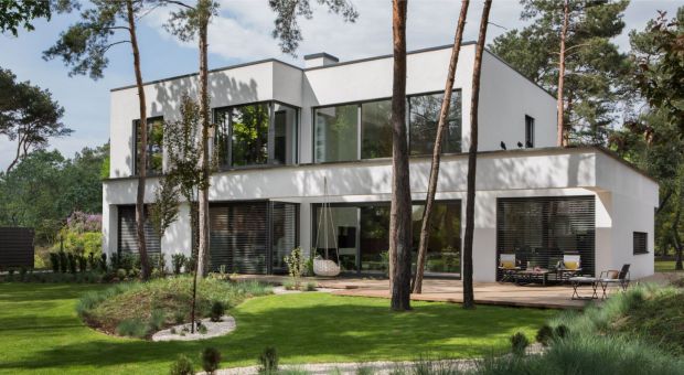 Projektowanie z miłością do natury - czym jest biophlic design?