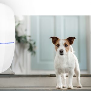 Czujka Slim-Pir-Pet/Satel. Produkt zgłoszony do konkursu Dobry Design 2020.