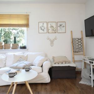 Optyczne powiększenie wnętrza udało się uzyskać dzięki dobrze dobranej kolorystyce ścian. Projekt: Justyna Majewska, Biały Domek Home Decor Justyna Majewska. Fot. Bartosz Jarosz 