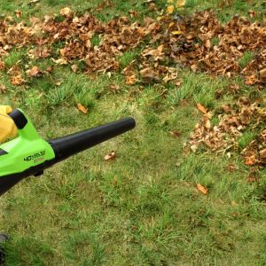 Sprzątanie ogrodu na jesień: sposoby na liście. Fot. Greenworks/Lange Łukaszuk 