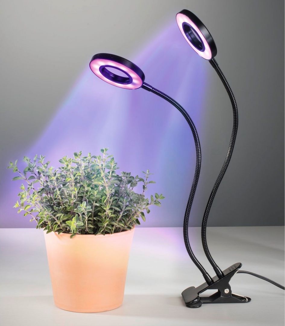 Borrowed tyrant controller Lampy led: sposób na piękne rośliny jesienią i zimą