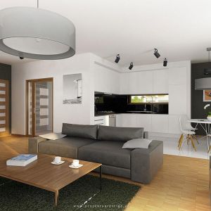 Wnętrza dużych domów umożliwiają projektowanie przestronnych salonów z otwartą kuchnią i jadalnią. Fot. Prestige