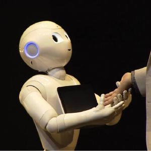 Roboty humanoidalne, jeśli będą wdrażane na szerszą skalę, mogą sprawdzić się w sklepach budowlanych lub spożywczych. Fot. www.softbank.jp