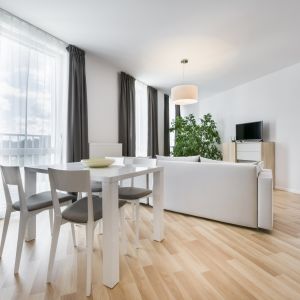 Drewniana podłoga, jasne meble, białe ściany i duże przeszklenia to typowe cechy stylu skandynawskiego. Fot. Shutterstock