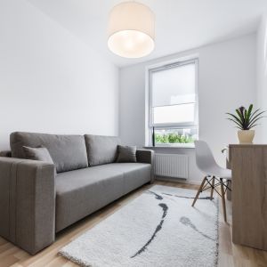 Wśród głównych założeń stylu skandynawskiego wymienić można prostotę wzorów, minimalizm, jasne i dobrze oświetlone pomieszczenia – koniecznie naturalnym światłem, funkcjonalność oraz użycie naturalnych materiałów – możliwe jest również wykorzystywanie surowców pochodzących z recyklingu. Fot. Shutterstock