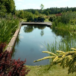 Właściciele ogromnych działek mogą sobie również pozwolić na staw kąpielowy wpisany w przestrzeń ogrodu. Fot. Pracownia Sztuki Ogrodowej
