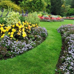 Powierzchnia działki determinuje sposób projektowania ogrodu. Będzie on cieszył nas przez lata, jeśli już w projekcie założymy, że estetyka pójdzie w parze z funkcjonalnością. Fot. Shutterstock