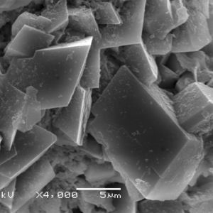 Kryształki sanidynu, czyli skalenia potasowego osadzonego w osnowie mikrokrystalicznej - zdjęcie z mikroskopu skaningowego. Fot. Fotolia