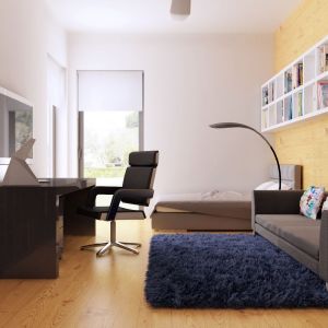 Pokój uzupełniają nowoczesne proste półki na książki i biurko z płyty na wysoki połysk.  Projekt Zx100, Fot. Z500