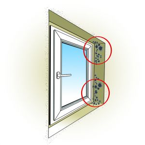 Brak prawidłowego zabezpieczenia połączenia okna z murem powoduje zawilgocenie i rozwój zagrzybienia. Rys. POiD