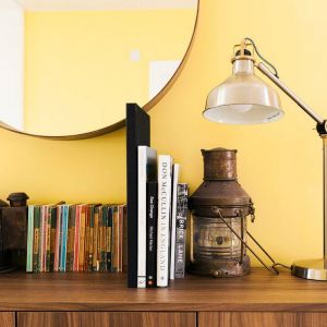 Czasowi lokatorzy domu będą mogli odpocząć czytając książki ze starannie dobranej pod względem tytułów biblioteczki. Fot. Airbnb