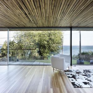 Wnętrze pokoju dziennego domu Dezanove House wykończono tym samym drewnem eukaliptusa co elewacje. Fot. Adrián Vázquez