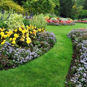 Letnie dni w ogrodzie wymagają wyjątkowej dbałości. Musimy pamiętać o systematycznym nawadnianiu i koszeniu trawnika. Fot. Shutterstock
