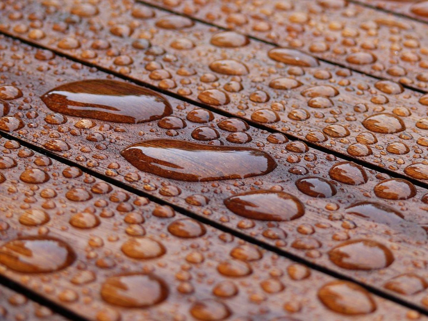 Woda i wilgoć stanowią duże zagrożenie dla elementów drewnianych dlatego należy je odpowiednio zabezpieczyć preparatem impregnującym. Fot. Shutterstock