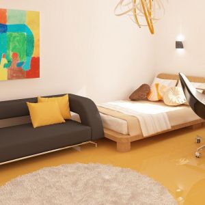 Żeby ożywić jasne barwy wystroju wnętrza zadbano o kolorowe detale. Obraz na ścianie, żółta podłoga czy ciemna kanapa ocieplają pokój. Fot. Z500