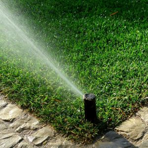 Trawnik należy podlewać wczesnym rankiem, kiedy temperatura jest niższa, unika się wtedy strat związanych z parowaniem. Fot. Garden Irrigation System Water