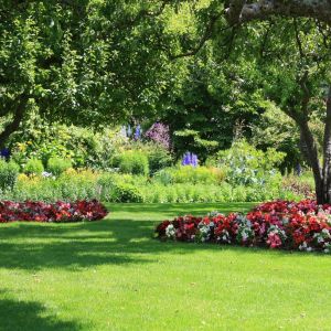 Możemy zaprojektować różne typy ogrodów, w zależności od potrzeb i oczekiwań tak, aby każdy mógł wybrać odpowiedni teren zieleni do swoich potrzeb. Fot. Shutterstock 