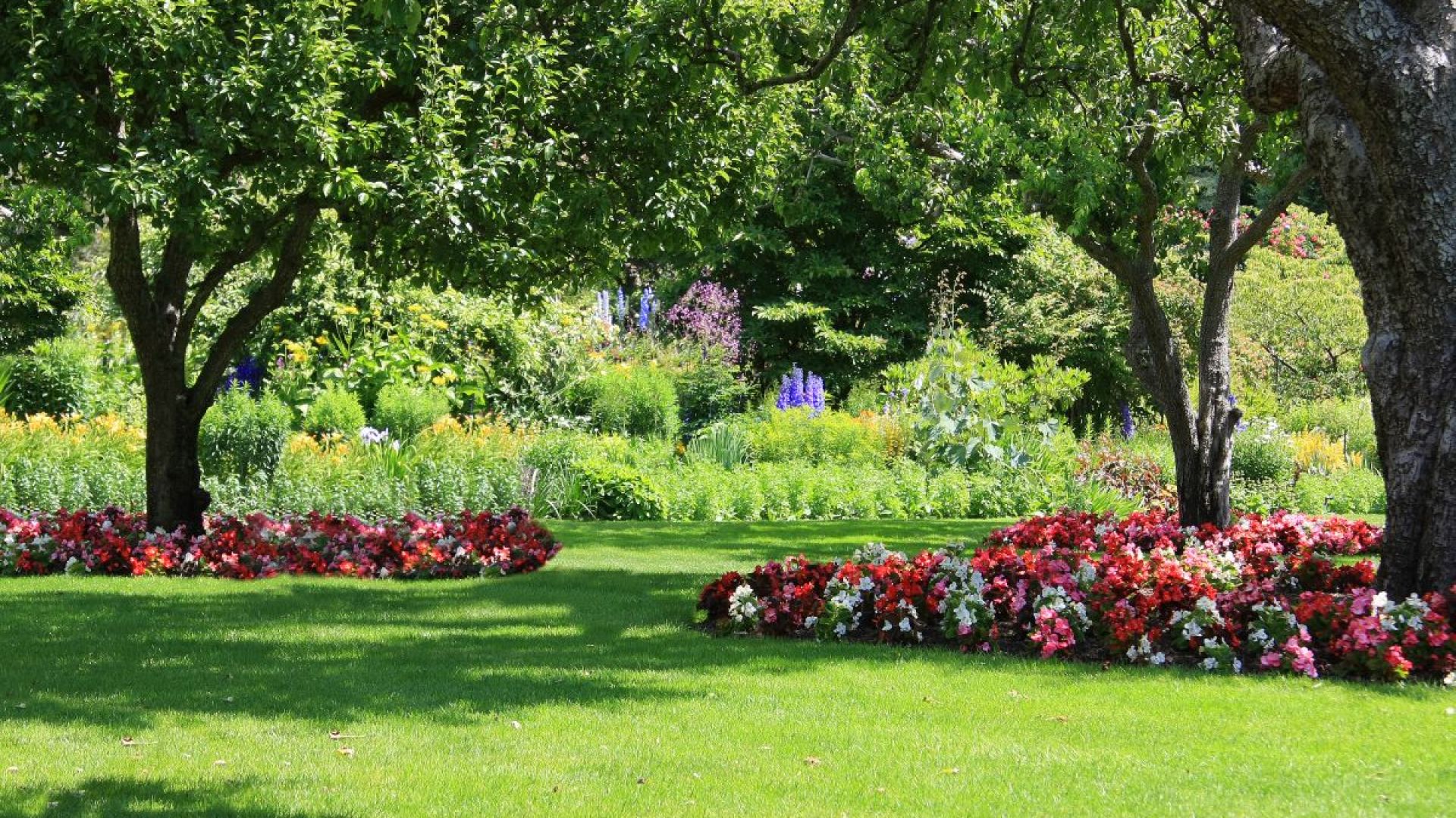 Rodzaje ogrodów – zaprojektuj ogród swoich marzeń