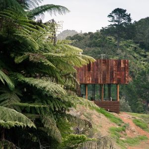 Dom otacza dziewicza roślinność typowa dla nowozelandzkich lasów. Fot. Lance Herbst