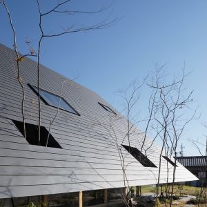 Inspiracją przy realizacji tego projektu był kształt okapu. Bryła domu oraz dach zostały zaprojektowane tak, aby kształtem były zbliżone do okapu, Fot. Kai Nakamura