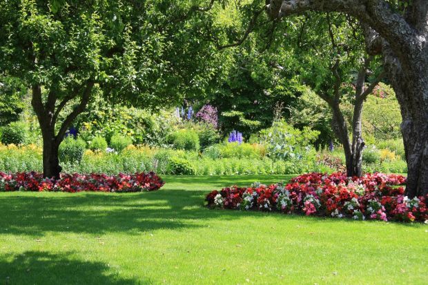 Piękny, zadbany i bujny ogród jest marzeniem każdego miłośnika zieleni. Szczególnie wiosną chcemy spędzać w nim swój wolny czas, kiedy kwitną wszystkie rośliny. Nadają one koloru naszemu ogrodowi, a przy tym pięknie pachną.