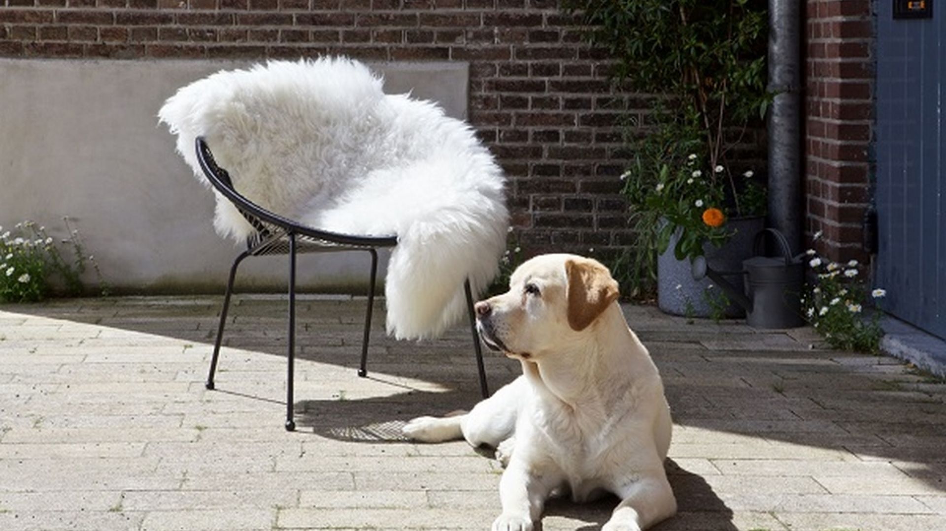 Fot. Dutchhouse