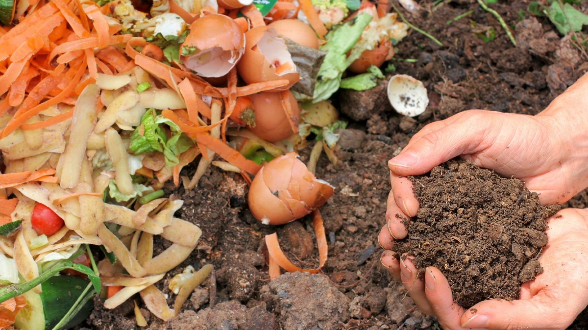 Kompost z odpadów organicznych. Fot. Kernau