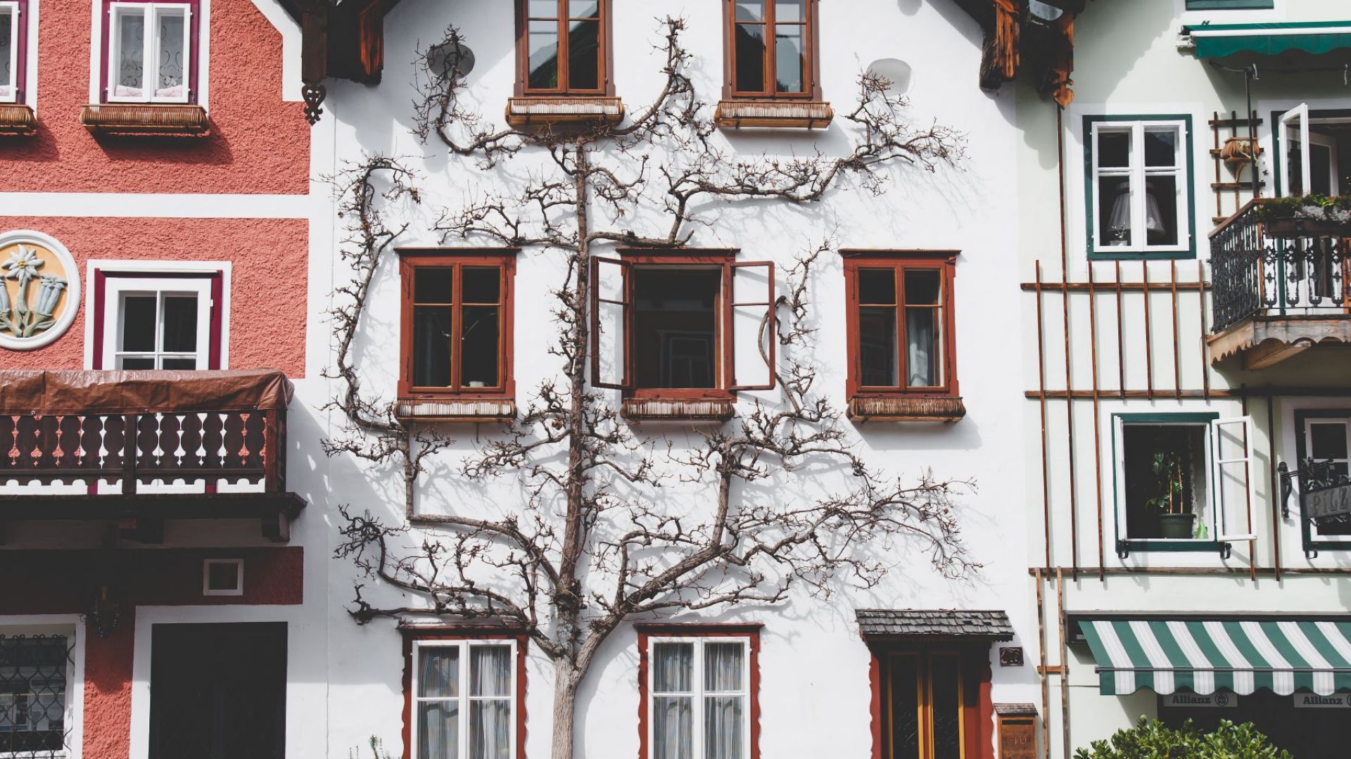 Fot. Unsplash Daniel Frank