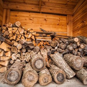 Odpowiedni sposób przechowywania drewna ma niebagatelny wpływ na jego wartość opałową. Świeży i pełen naturalnych soków mocno dymi i szybciej się spala, zużywa i jednocześnie dostarcza mniej ciepła. Fot. Lange Łukaszuk